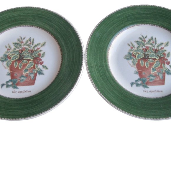 Wedgwood Sarahs Garden Holly & Ivy Ilex Aquiflorium Queens Ware 2 Salad Plates - Picture 2 of 8